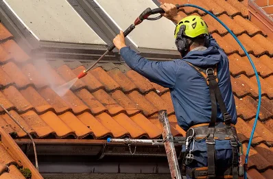 Démoussage et hydrofuge de toiture au Reposoir